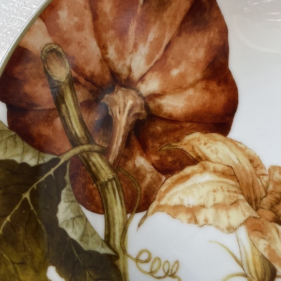 Sonoma Williams Botanical Pumpkin coupe soup bowl 8.75” x 2” deep - Picture 6 of 8